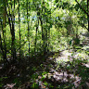 Meet your Posher, Anne